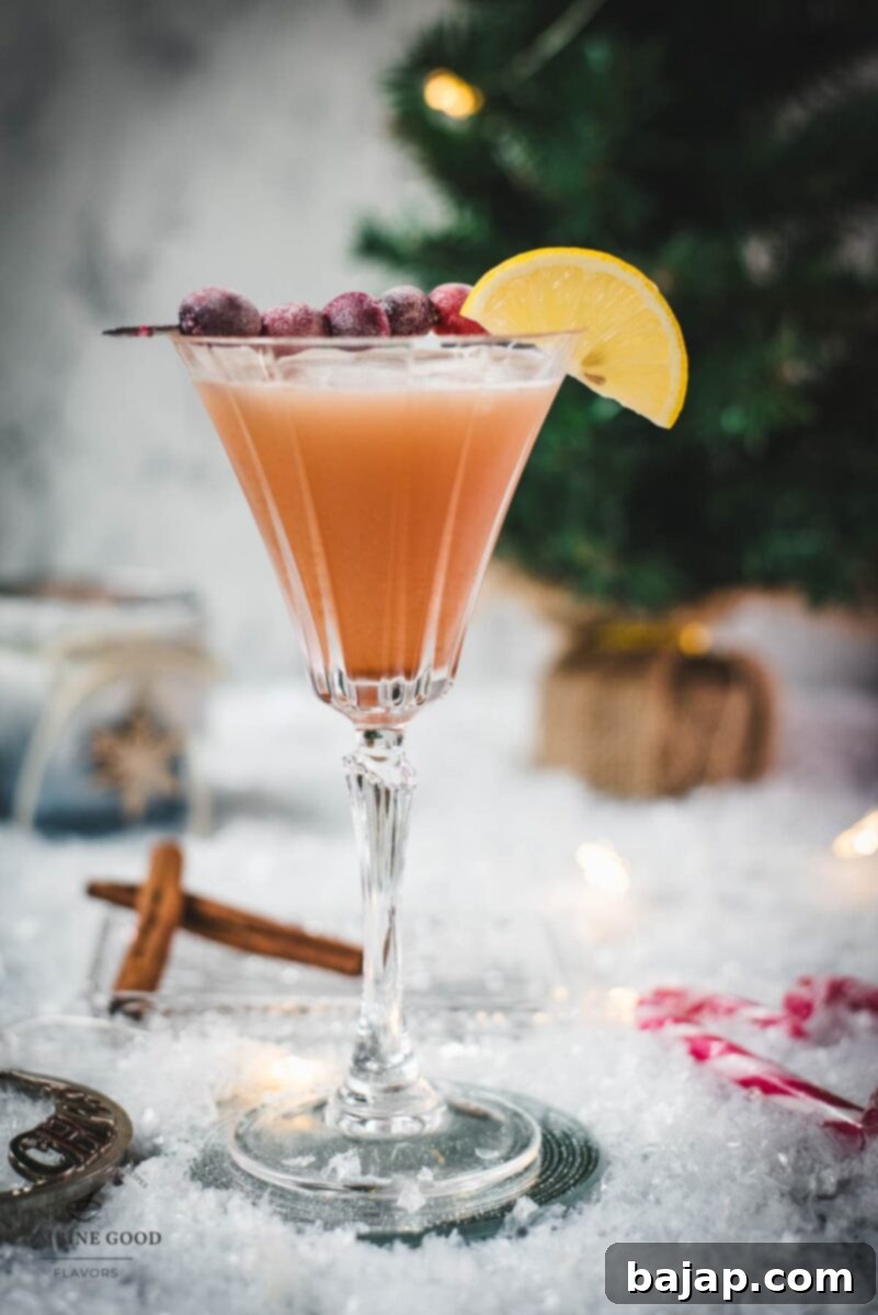 Festive cranberry cinnamon whiskey sour in gorgeous glass, placed on ice ground next to cinnamon sticks and candy canes, garnished with sugared cranberries and lemon.