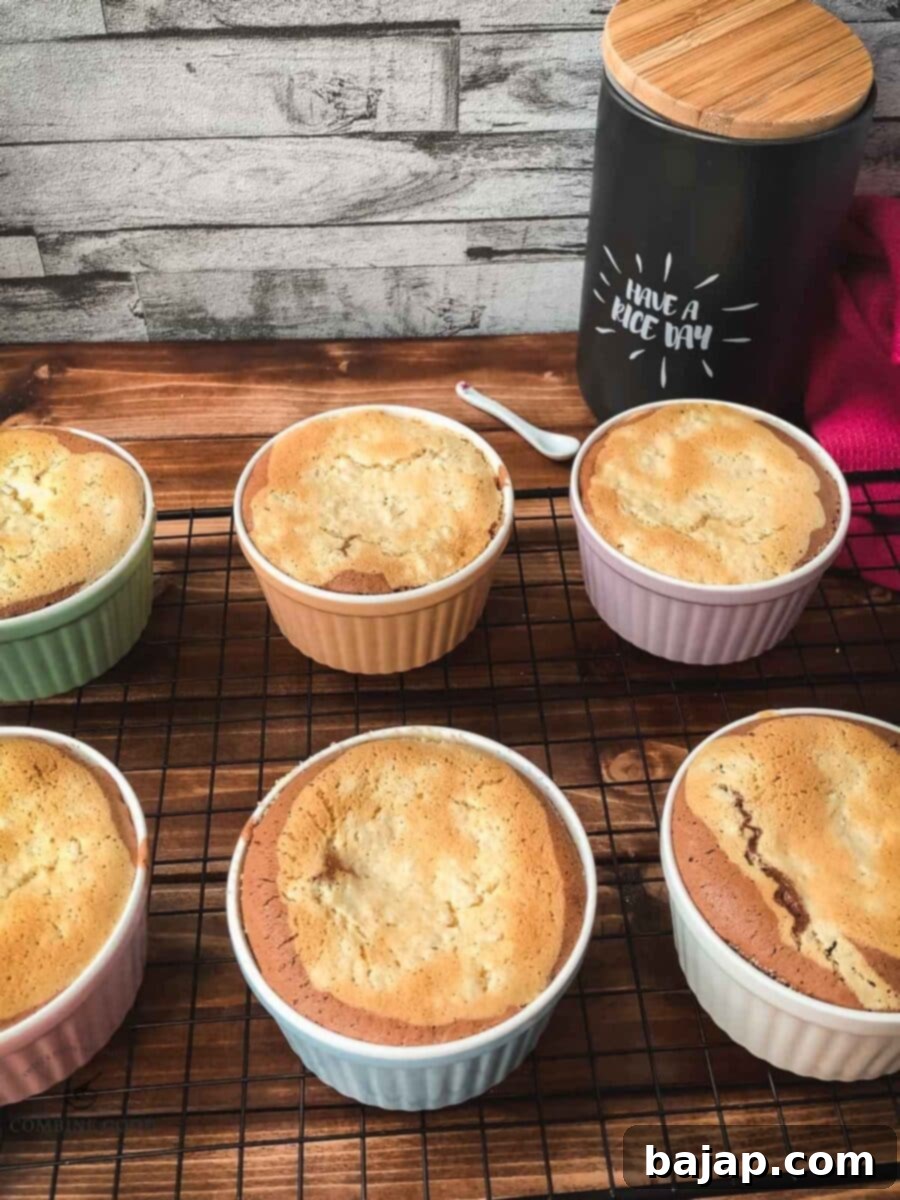 Creamy Baked Rice Pudding 14 Finished baked marbled rice pudding casseroles on cooling rack before serving.