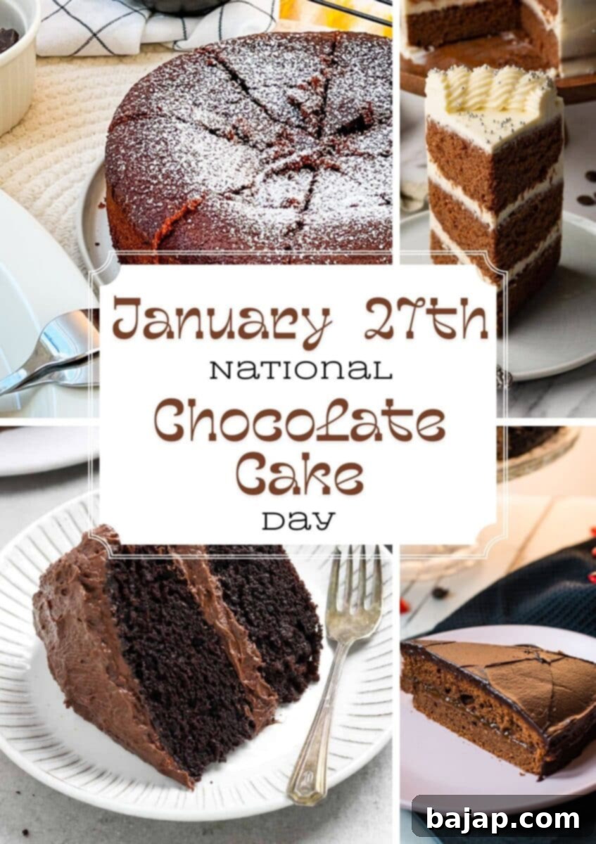 A collage of various delicious chocolate cakes, including fudgy bundt cakes, flourless cakes, and frosted layer cakes, perfect for celebrating National Chocolate Cake Day.