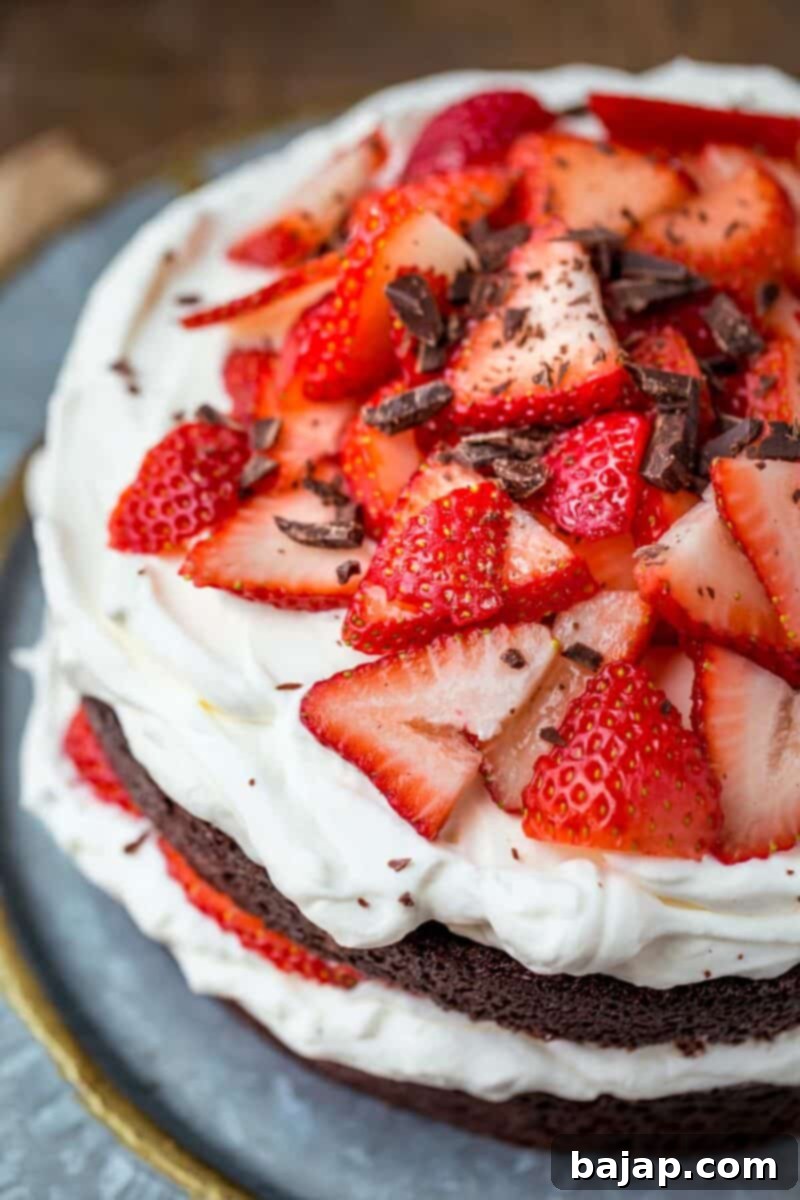 A slice of elegant Chocolate Strawberry Cake with whipped cream and fresh strawberries.