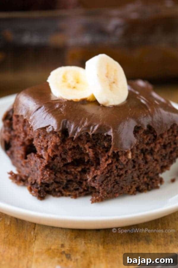 A moist and decadent Chocolate Banana Cake.