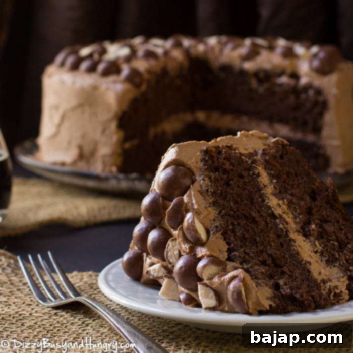 A rich Malted Chocolate Stout Cake with creamy malted chocolate frosting.