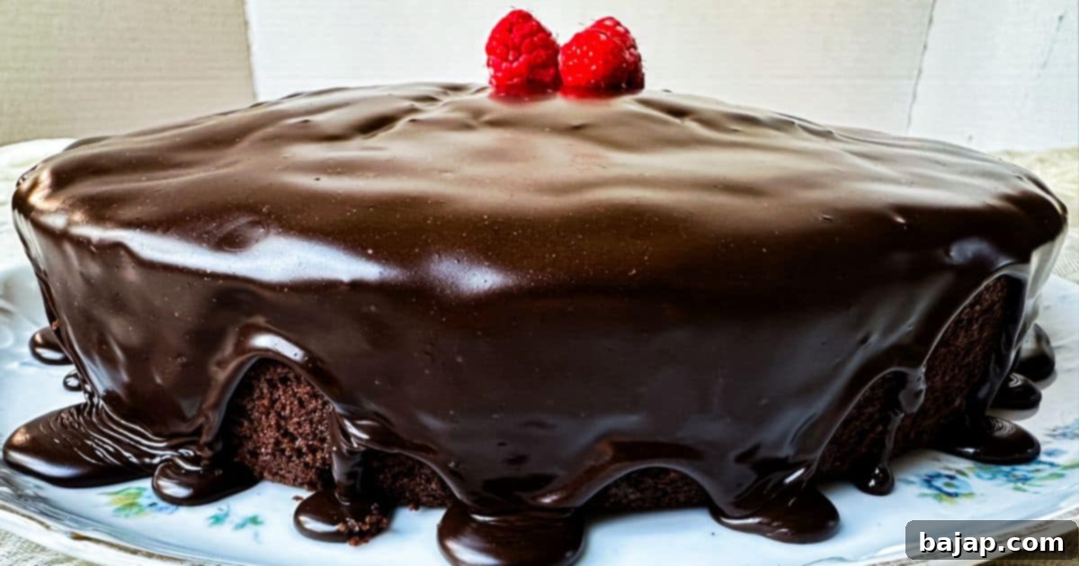 A rich Sourdough Chocolate Cake with fresh raspberries on top.