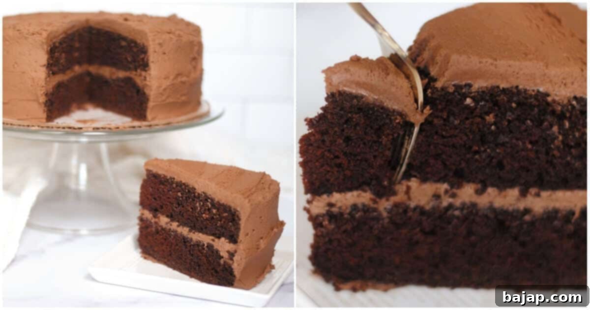 A moist and velvety Chocolate Mayonnaise Cake with buttercream frosting.