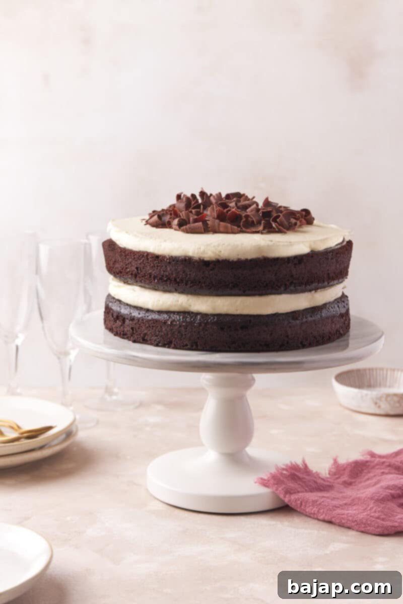 A slice of Chocolate Whipped Cream Cake with a delicate topping.