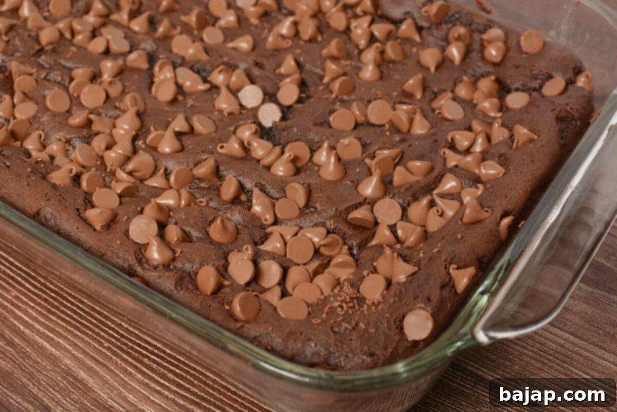 An incredibly rich Death by Chocolate Dump Cake, full of chocolate goodness.