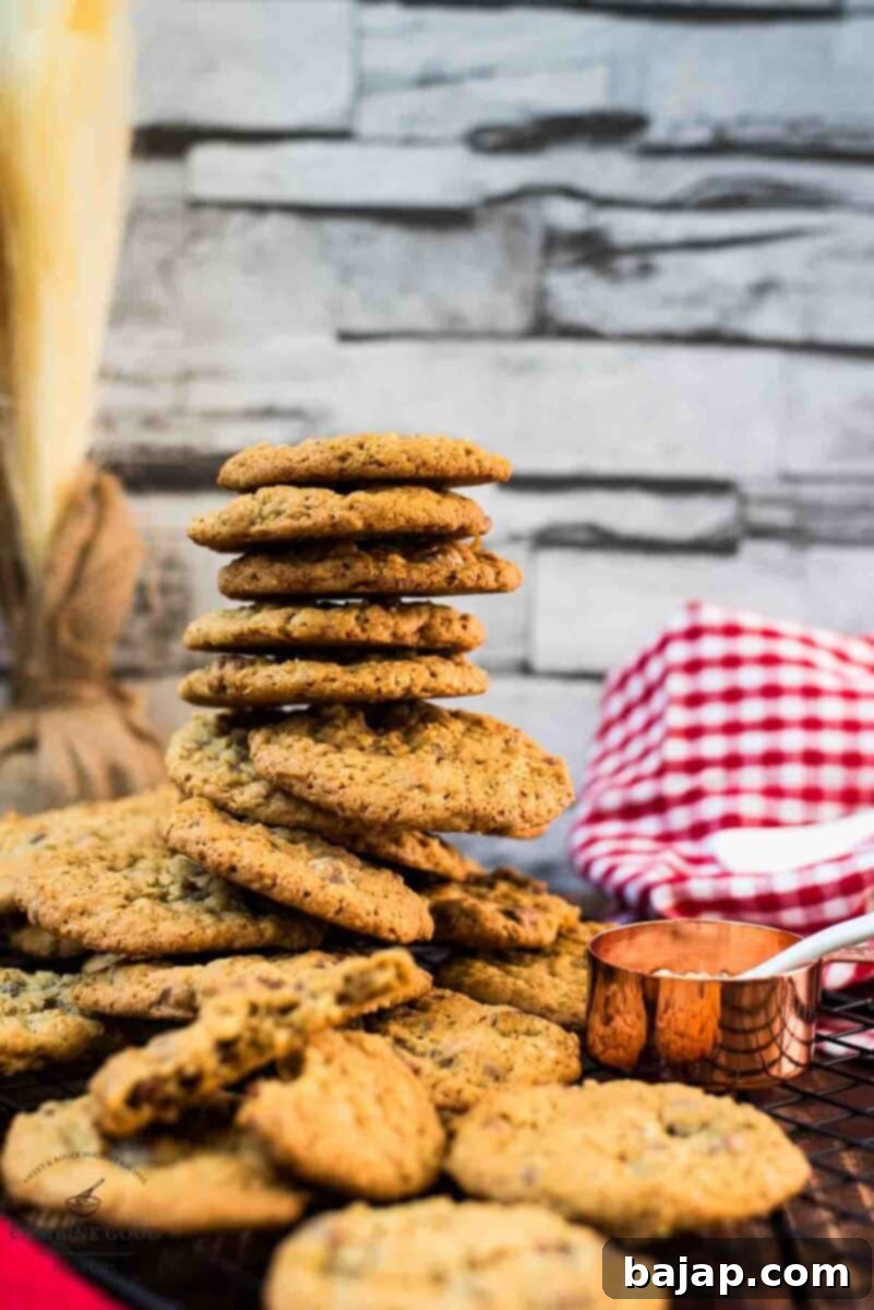 Chewy and Soft Oatmeal Chocolate Chip Delights 2 Chocolate chip oatmeal cookies piled on top of each other, showcasing their soft, chewy texture.