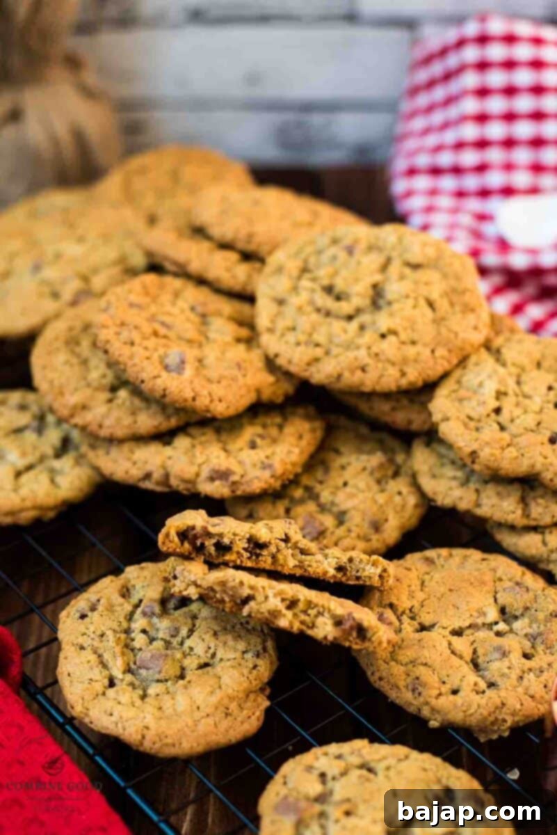Chewy and Soft Oatmeal Chocolate Chip Delights 11 Chocolate chip oatmeal cookies cooling on a wire rack.