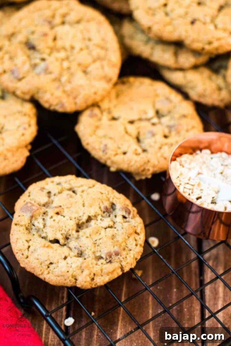Chewy and Soft Oatmeal Chocolate Chip Delights 12 A cooling rack filled with freshly baked oatmeal chocolate chip cookies, ready for storage or immediate enjoyment.