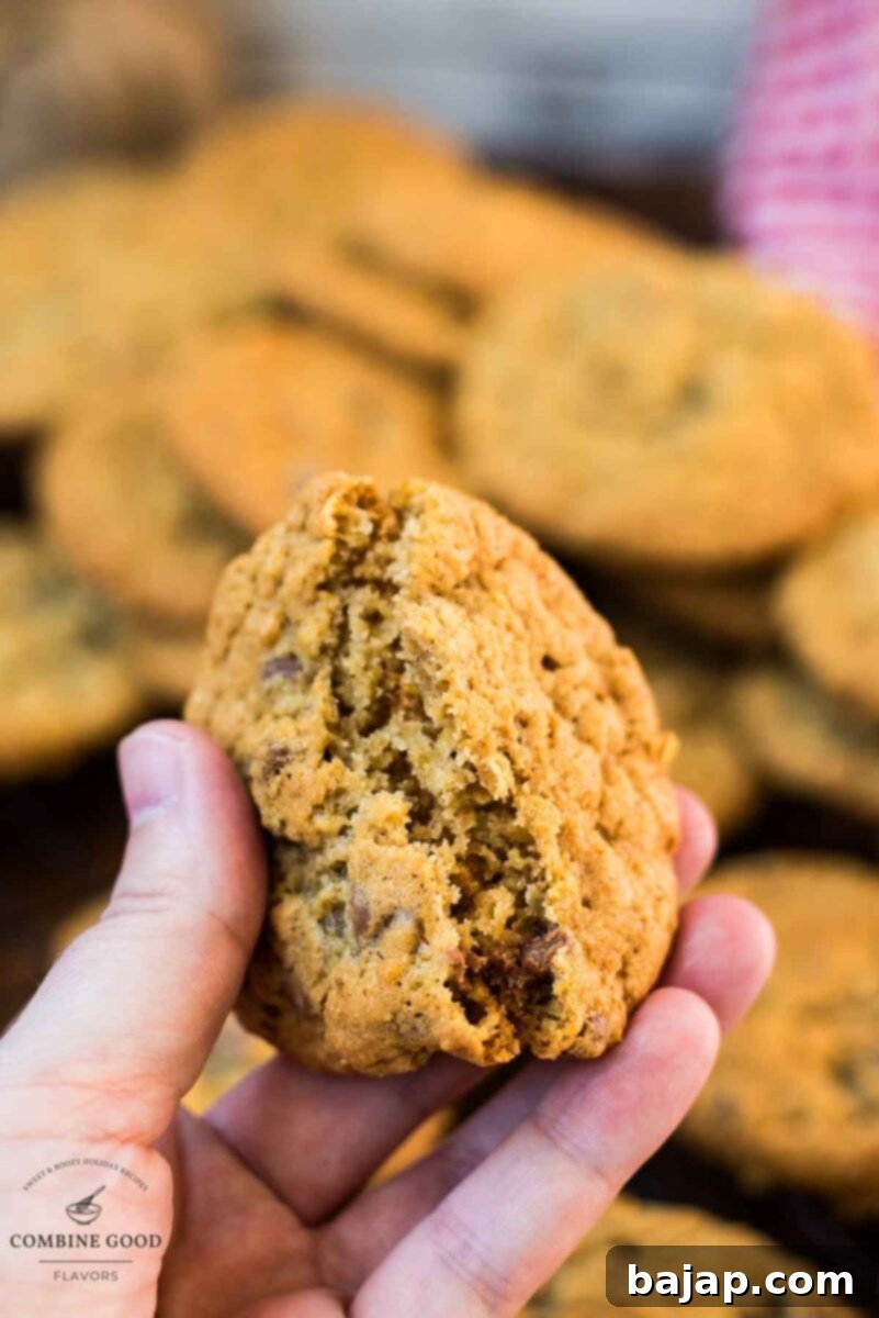 Chewy and Soft Oatmeal Chocolate Chip Delights 9 Hand holding two halves of a soft and delicious oatmeal chocolate chip cookie, showing the melty chocolate inside.