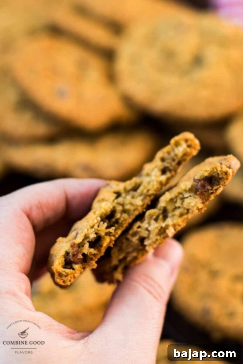 Chewy and Soft Oatmeal Chocolate Chip Delights 10 Hand holding two halves of a soft and delicious oatmeal chocolate chip cookie, demonstrating its irresistible texture.