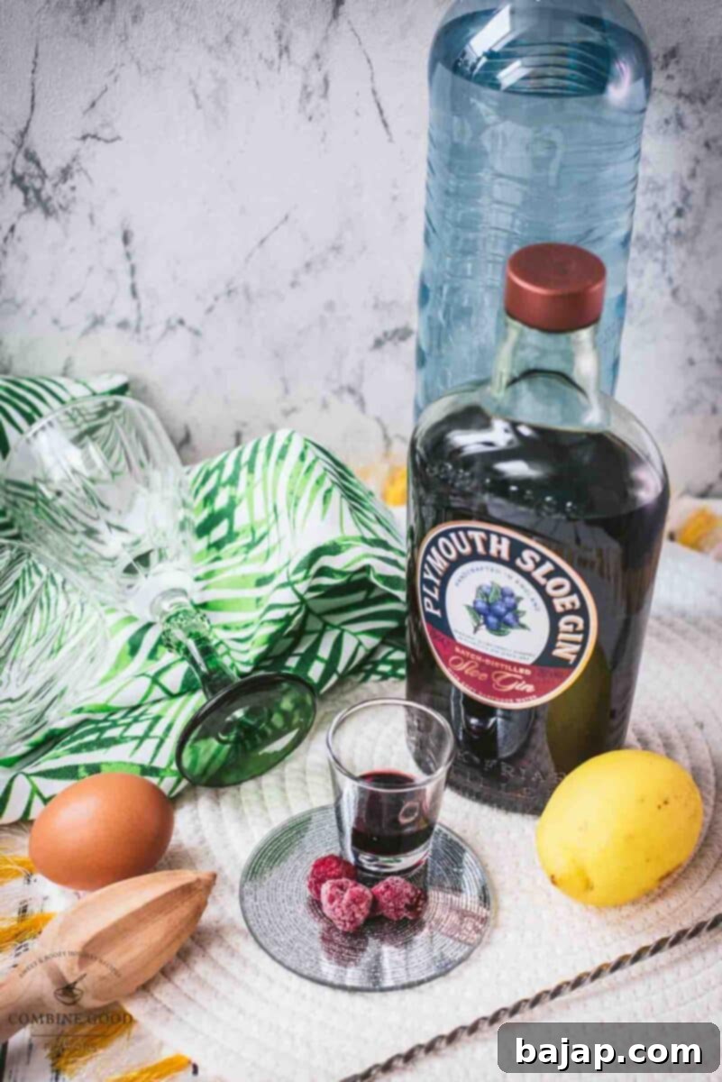 Ingredients for Ruby Fizz: Sparkling water, sloe gin, lemon juice, raspberry syrup, and an egg white displayed neatly.