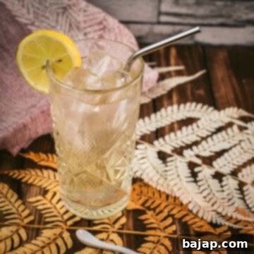 Gorgeous Bourbon Highball cocktail, made with Bourbon and Ginger beer. Served with a lemon slice.