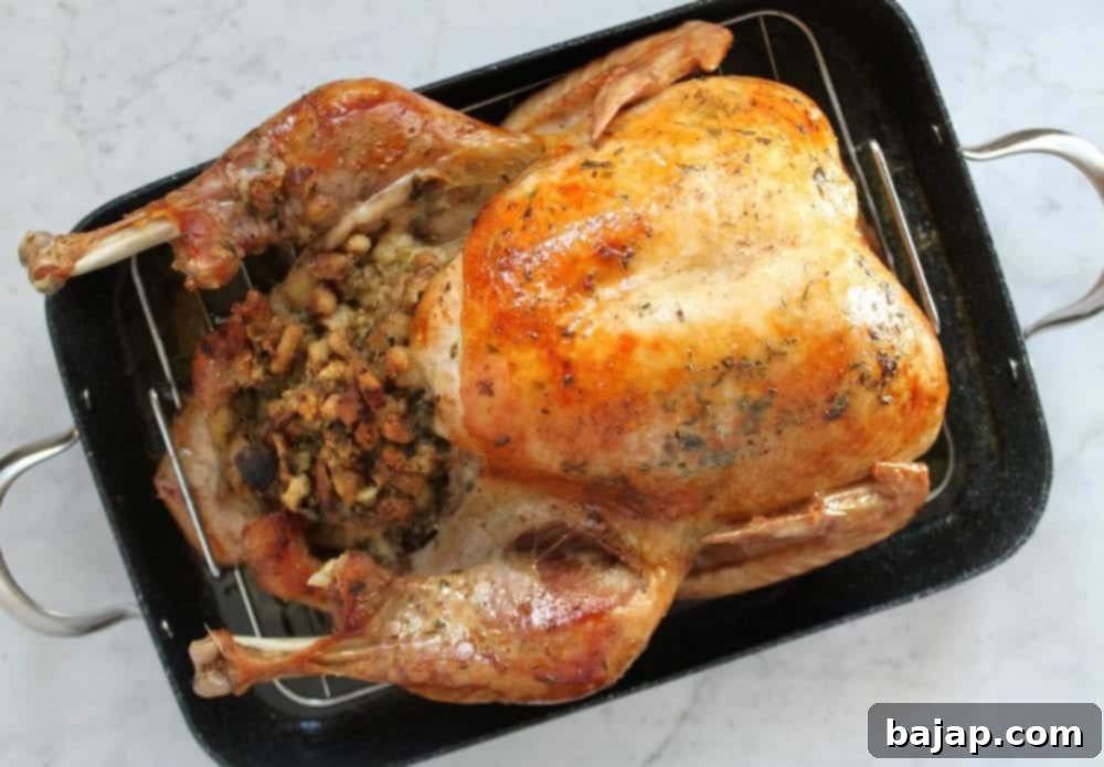 Brined-Turkey