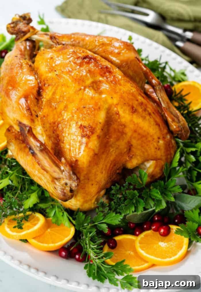 Roast-Turkey-