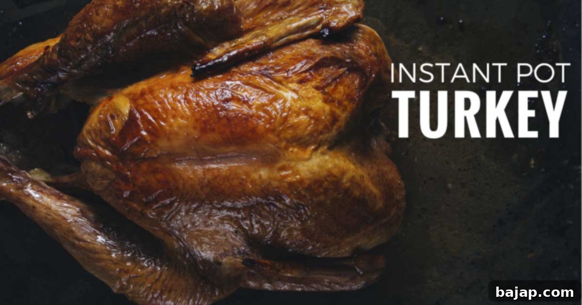 instant-pot-turkey