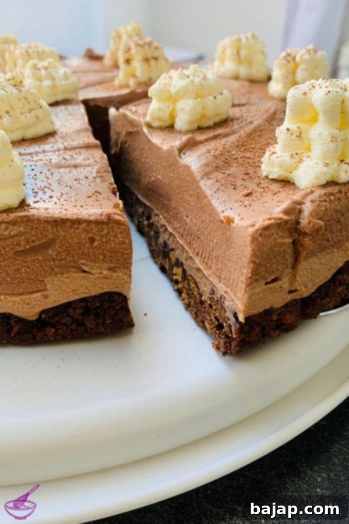 A big slice of deliciousness - the no-bake chocolate ricotta cheesecake!
