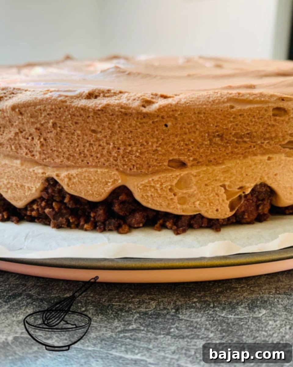 Effortless Chocolate Ricotta Dream 14 Clearly visible two layers of chocolate ricotta cream over a Biscoff cookie crust, ready for decoration.
