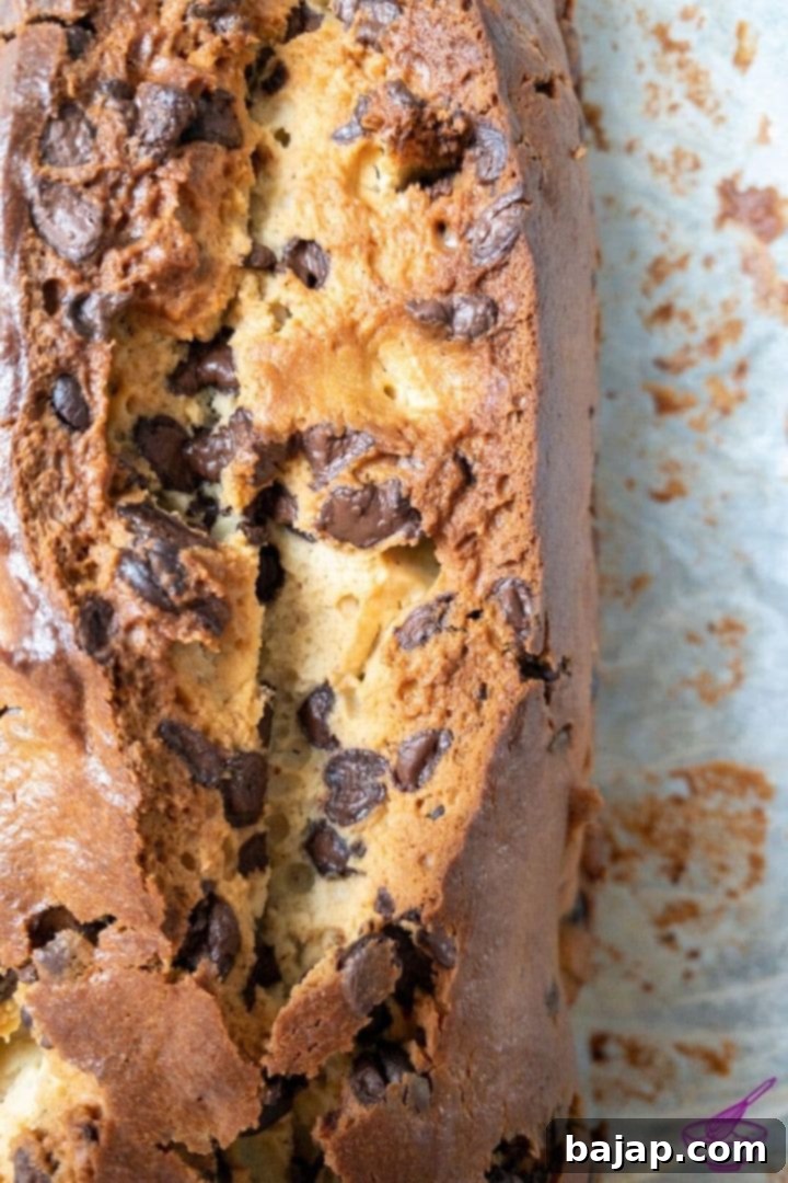 delicious chocolate chip ricotta loaf cake