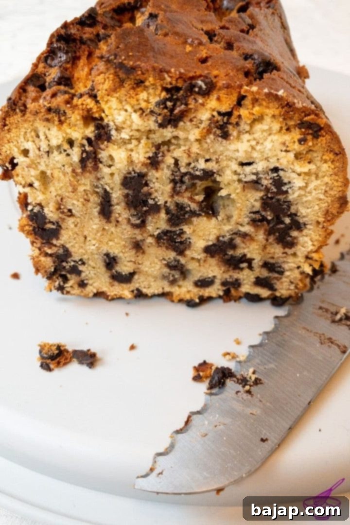 delicious chocolate chip ricotta loaf cake and coffee