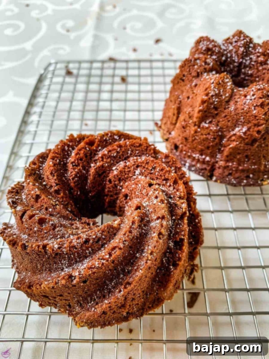Two ready-to-eat, glistening double chocolate bundt cakes, dusted with powdered sugar and perfectly baked to a deep brown, sitting on a wire rack.