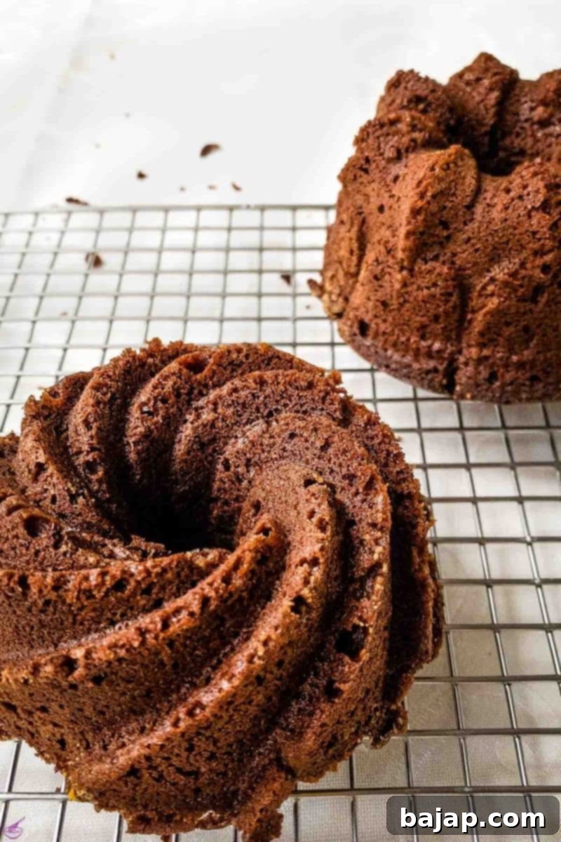 Two exquisitely baked double chocolate bundt cakes, dusted lightly with powdered sugar, ready to be served and enjoyed as a gourmet dessert.