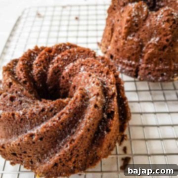 Two ready-to-eat, perfectly baked double chocolate bundt cakes, beautifully presented and ready for dessert.