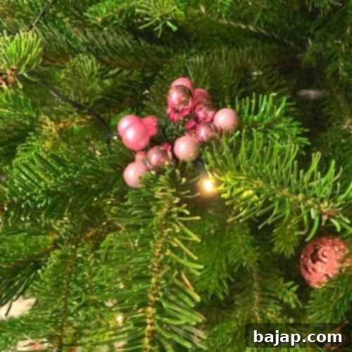 Beautifully decorated real Christmas tree with various ornaments.