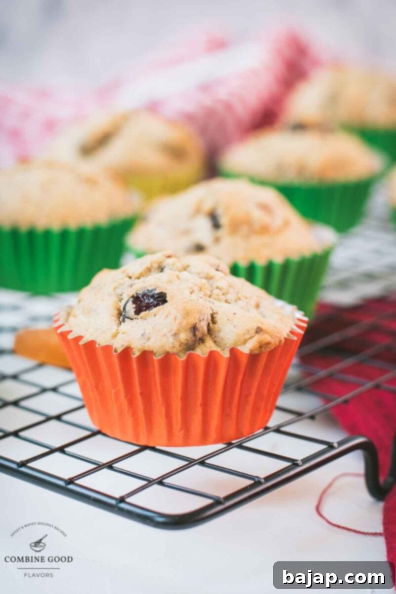 cute fruit and nut muffins with colored lines, placed on cooling rack.